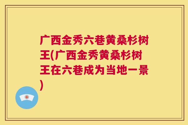 广西金秀六巷黄桑杉树王(广西金秀黄桑杉树王在六巷成为当地一景) 广西金秀六巷黄桑杉树王(广西金秀黄桑杉树王在六巷成为当地一景)