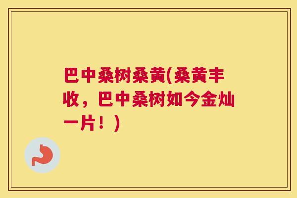 巴中桑树桑黄(桑黄丰收,巴中桑树如今金灿一片!) 巴中桑树桑黄(桑黄丰收,巴中桑树如今金灿一片!)