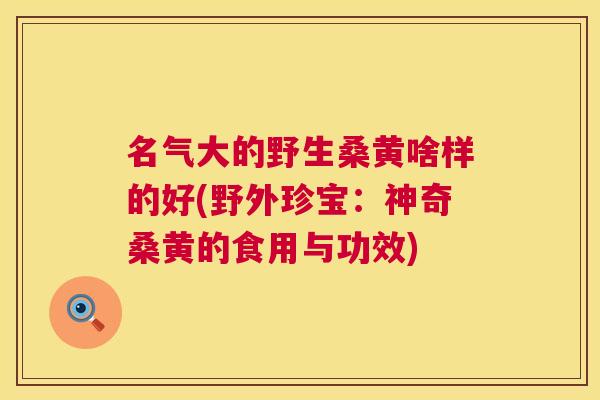 名气大的野生桑黄啥样的好(野外珍宝:神奇桑黄的食用与功效) 名气大的野生桑黄啥样的好(野外珍宝:神奇桑黄的食用与功效)