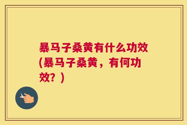 暴马子桑黄有什么功效(暴马子桑黄，有何功效？)