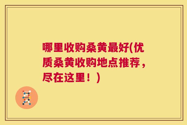 哪里收购桑黄好(优质桑黄收购地点推荐,尽在这里!) 哪里收购桑黄好(优质桑黄收购地点推荐,尽在这里!)