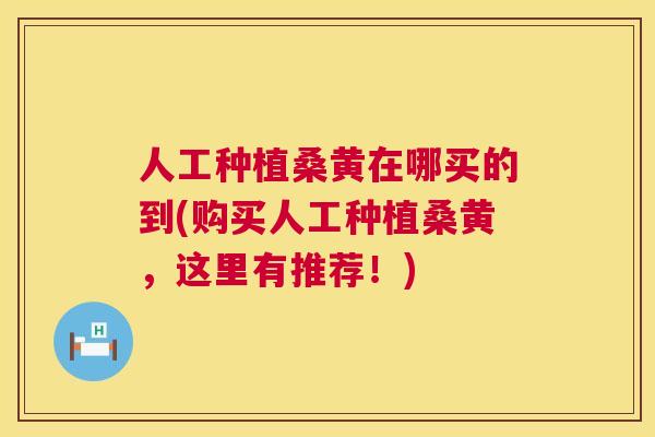 人工种植桑黄在哪买的到(购买人工种植桑黄,这里有推荐!) 人工种植桑黄在哪买的到(购买人工种植桑黄,这里有推荐!)