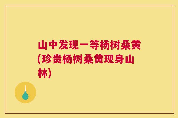 山中发现一等杨树桑黄(珍贵杨树桑黄现身山林) 山中发现一等杨树桑黄(珍贵杨树桑黄现身山林)