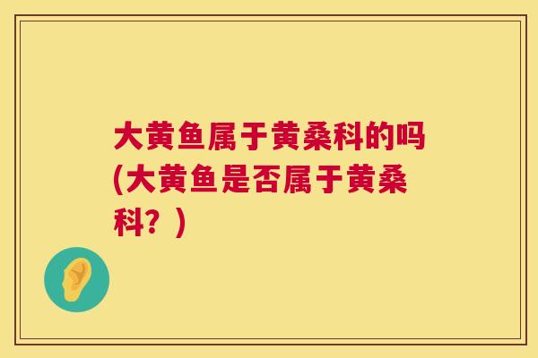 大黄鱼属于黄桑科的吗(大黄鱼是否属于黄桑科？)