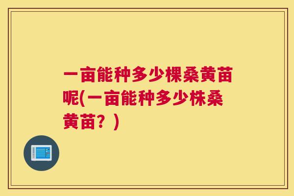 一亩能种多少棵桑黄苗呢(一亩能种多少株桑黄苗?) 一亩能种多少棵桑黄苗呢(一亩能种多少株桑黄苗?)