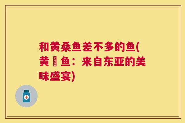 和黄桑鱼差不多的鱼(黄鰤鱼:来自东亚的美味盛宴) 和黄桑鱼差不多的鱼(黄鰤鱼:来自东亚的美味盛宴)