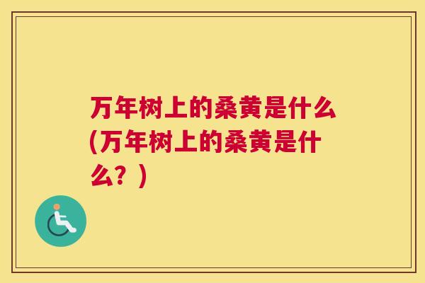 万年树上的桑黄是什么(万年树上的桑黄是什么?) 万年树上的桑黄是什么(万年树上的桑黄是什么?)