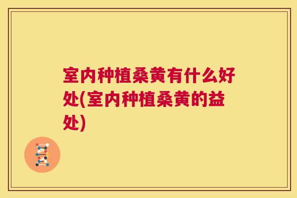 室内种植桑黄有什么好处(室内种植桑黄的益处) 室内种植桑黄有什么好处(室内种植桑黄的益处)