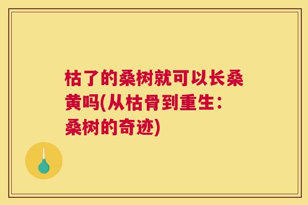 枯了的桑树就可以长桑黄吗(从枯骨到重生:桑树的奇迹) 枯了的桑树就可以长桑黄吗(从枯骨到重生:桑树的奇迹)