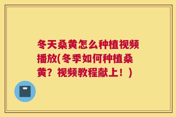 冬天桑黄怎么种植视频播放(冬季如何种植桑黄?视频教程献上!) 冬天桑黄怎么种植视频播放(冬季如何种植桑黄?视频教程献上!)