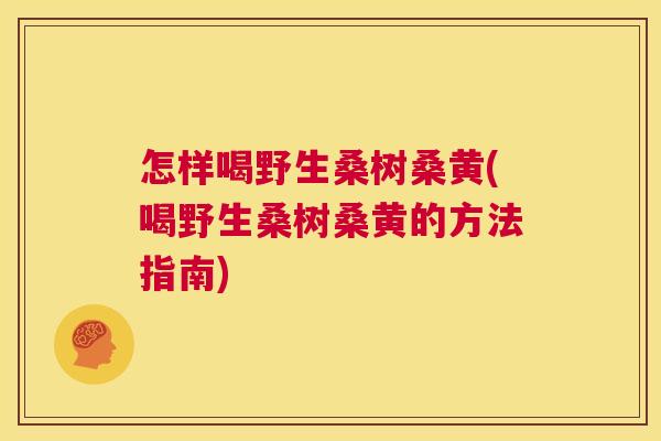 怎样喝野生桑树桑黄(喝野生桑树桑黄的方法指南)