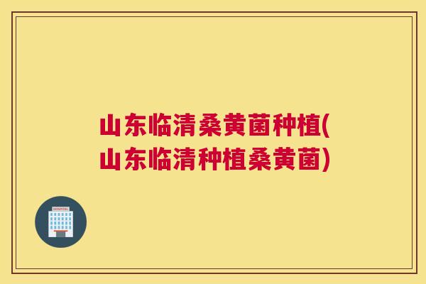 山东临清桑黄菌种植(山东临清种植桑黄菌) 山东临清桑黄菌种植(山东临清种植桑黄菌)