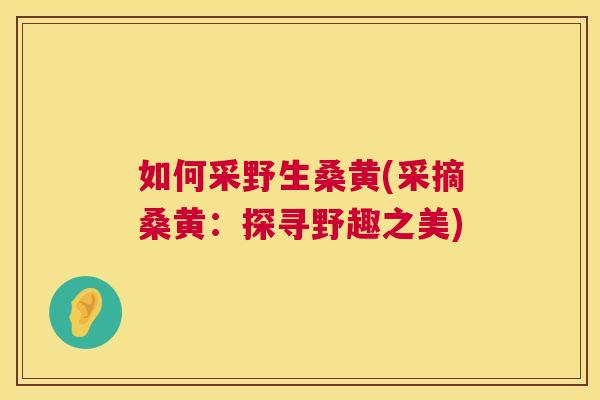如何采野生桑黄(采摘桑黄:探寻野趣之美) 如何采野生桑黄(采摘桑黄:探寻野趣之美)