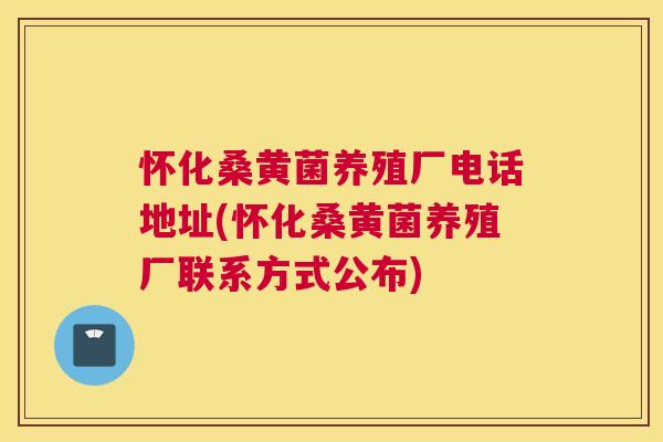 怀化桑黄菌养殖厂电话地址(怀化桑黄菌养殖厂联系方式公布) 怀化桑黄菌养殖厂电话地址(怀化桑黄菌养殖厂联系方式公布)