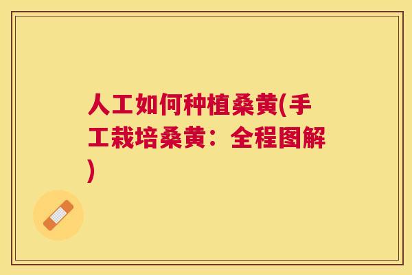 人工如何种植桑黄(手工栽培桑黄:全程图解) 人工如何种植桑黄(手工栽培桑黄:全程图解)