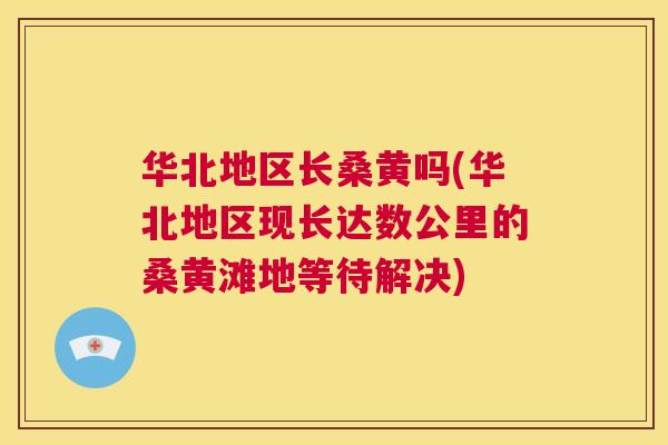 华北地区长桑黄吗(华北地区现长达数公里的桑黄滩地等待解决) 华北地区长桑黄吗(华北地区现长达数公里的桑黄滩地等待解决)