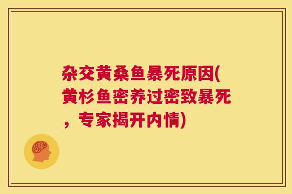 杂交黄桑鱼暴死原因(黄杉鱼密养过密致暴死，专家揭开内情)