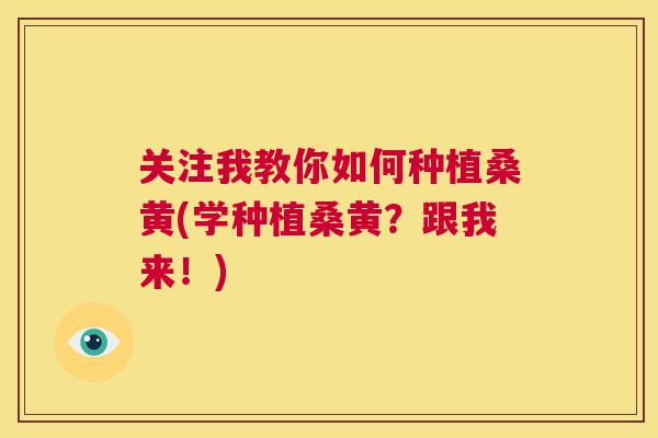 关注我教你如何种植桑黄(学种植桑黄?跟我来!) 关注我教你如何种植桑黄(学种植桑黄?跟我来!)