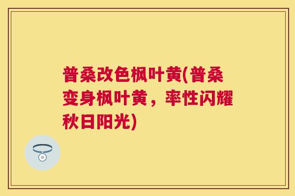 普桑改色枫叶黄(普桑变身枫叶黄,率性闪耀秋日阳光) 普桑改色枫叶黄(普桑变身枫叶黄,率性闪耀秋日阳光)