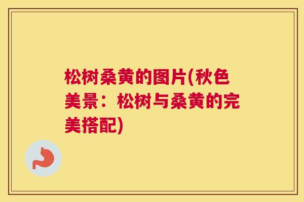 松树桑黄的图片(秋色美景:松树与桑黄的完美搭配) 松树桑黄的图片(秋色美景:松树与桑黄的完美搭配)
