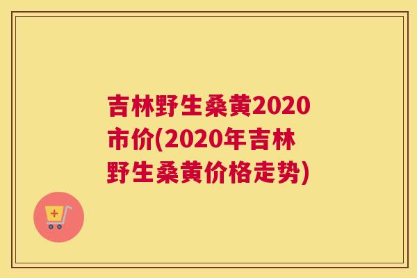 吉林野生桑黄2020市价(2020年吉林野生桑黄价格走势) 吉林野生桑黄2020市价(2020年吉林野生桑黄价格走势)