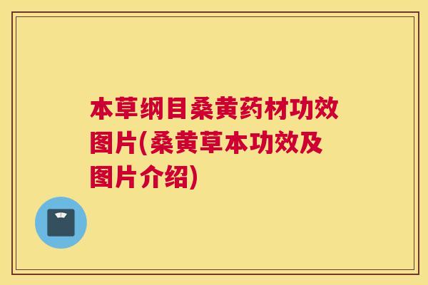 本草纲目桑黄药材功效图片(桑黄草本功效及图片介绍)