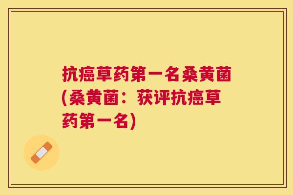 抗草药第一名桑黄菌(桑黄菌:获评抗草药第一名) 抗草药第一名桑黄菌(桑黄菌:获评抗草药第一名)