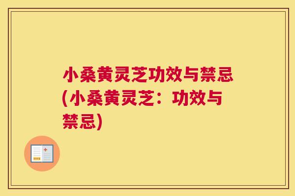 小桑黄灵芝功效与禁忌(小桑黄灵芝:功效与禁忌) 小桑黄灵芝功效与禁忌(小桑黄灵芝:功效与禁忌)
