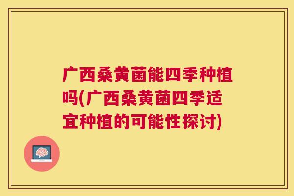 广西桑黄菌能四季种植吗(广西桑黄菌四季适宜种植的可能性探讨)