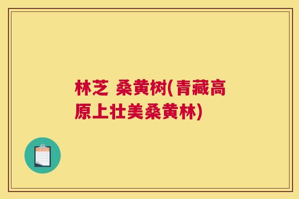 林芝 桑黄树(青藏高原上壮美桑黄林) 林芝 桑黄树(青藏高原上壮美桑黄林)