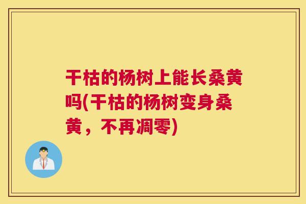 干枯的杨树上能长桑黄吗(干枯的杨树变身桑黄,不再凋零) 干枯的杨树上能长桑黄吗(干枯的杨树变身桑黄,不再凋零)