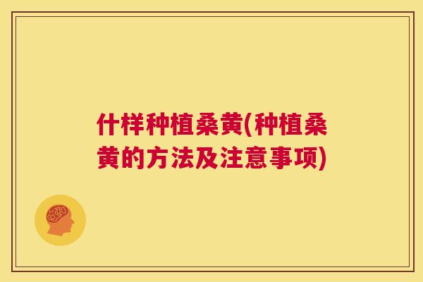 什样种植桑黄(种植桑黄的方法及注意事项) 什样种植桑黄(种植桑黄的方法及注意事项)