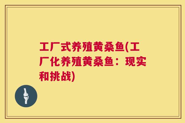 工厂式养殖黄桑鱼(工厂化养殖黄桑鱼：现实和挑战)
