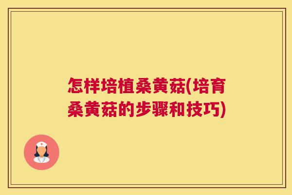 怎样培植桑黄菇(培育桑黄菇的步骤和技巧) 怎样培植桑黄菇(培育桑黄菇的步骤和技巧)