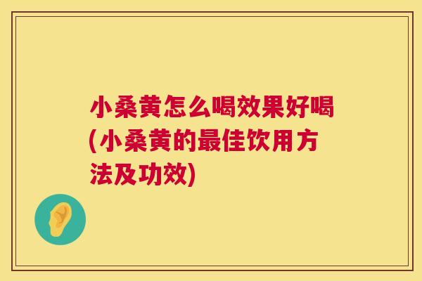 小桑黄怎么喝效果好喝(小桑黄的佳饮用方法及功效) 小桑黄怎么喝效果好喝(小桑黄的佳饮用方法及功效)