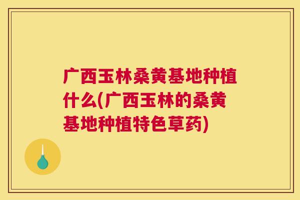 广西玉林桑黄基地种植什么(广西玉林的桑黄基地种植特色草药) 广西玉林桑黄基地种植什么(广西玉林的桑黄基地种植特色草药)