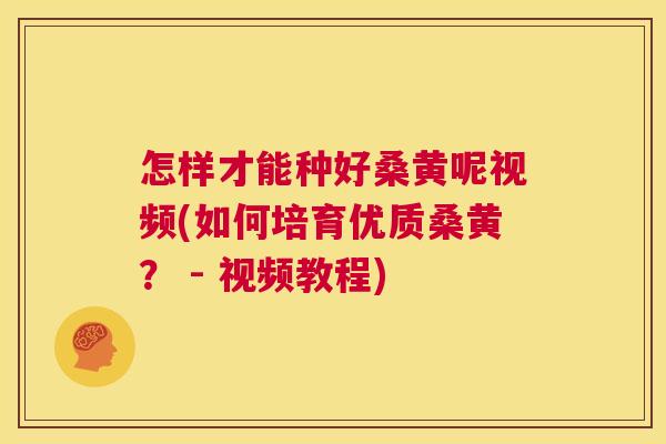 怎样才能种好桑黄呢视频(如何培育优质桑黄？ - 视频教程)
