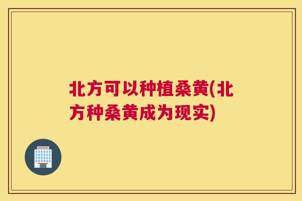 北方可以种植桑黄(北方种桑黄成为现实)
