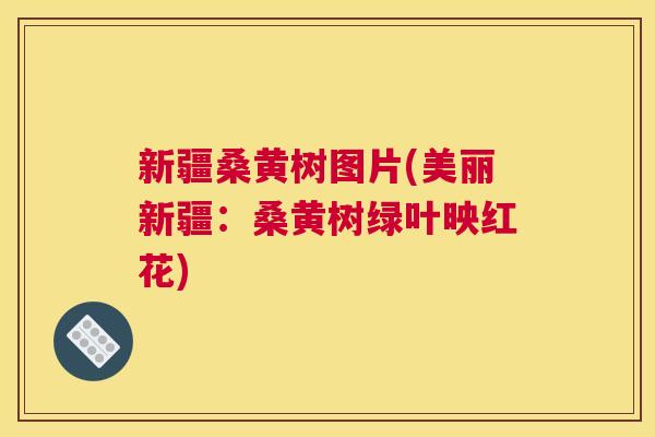 新疆桑黄树图片(美丽新疆:桑黄树绿叶映红花) 新疆桑黄树图片(美丽新疆:桑黄树绿叶映红花)