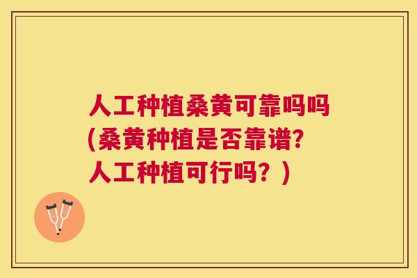 人工种植桑黄可靠吗吗(桑黄种植是否靠谱？人工种植可行吗？)
