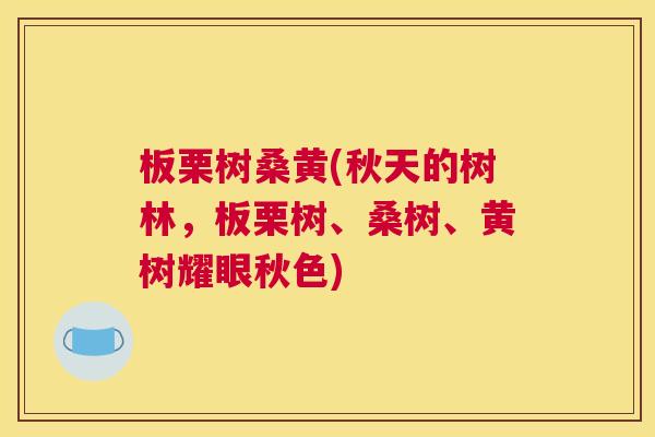 板栗树桑黄(秋天的树林,板栗树、桑树、黄树耀眼秋色) 板栗树桑黄(秋天的树林,板栗树、桑树、黄树耀眼秋色)