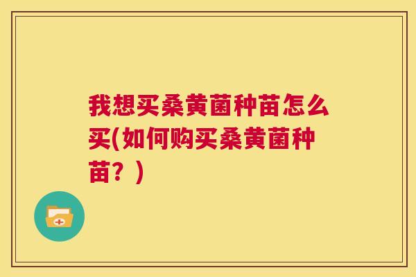 我想买桑黄菌种苗怎么买(如何购买桑黄菌种苗?) 我想买桑黄菌种苗怎么买(如何购买桑黄菌种苗?)