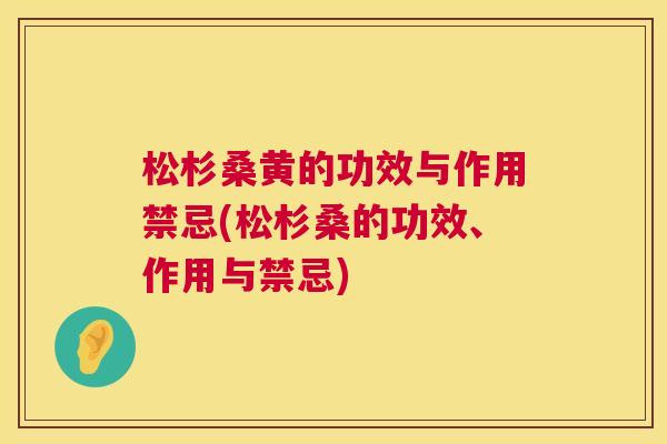 松杉桑黄的功效与作用禁忌(松杉桑的功效、作用与禁忌) 松杉桑黄的功效与作用禁忌(松杉桑的功效、作用与禁忌)