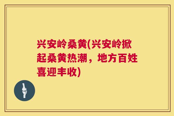 兴安岭桑黄(兴安岭掀起桑黄热潮,地方百姓喜迎丰收) 兴安岭桑黄(兴安岭掀起桑黄热潮,地方百姓喜迎丰收)