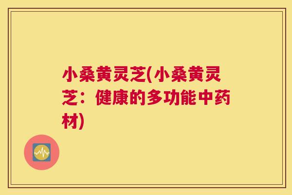小桑黄灵芝(小桑黄灵芝:健康的多功能材) 小桑黄灵芝(小桑黄灵芝:健康的多功能材)