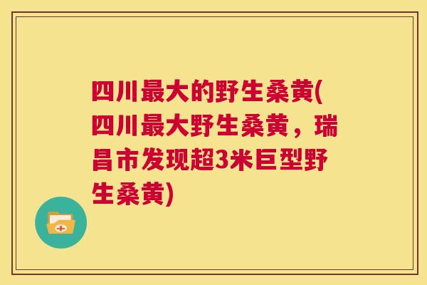 四川大的野生桑黄(四川大野生桑黄,瑞昌市发现超3米巨型野生桑黄) 四川大的野生桑黄(四川大野生桑黄,瑞昌市发现超3米巨型野生桑黄)