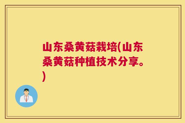 山东桑黄菇栽培(山东桑黄菇种植技术分享。) 山东桑黄菇栽培(山东桑黄菇种植技术分享。)