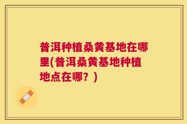 普洱种植桑黄基地在哪里(普洱桑黄基地种植地点在哪?) 普洱种植桑黄基地在哪里(普洱桑黄基地种植地点在哪?)
