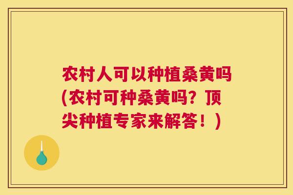 农村人可以种植桑黄吗(农村可种桑黄吗?种植专家来解答!) 农村人可以种植桑黄吗(农村可种桑黄吗?种植专家来解答!)