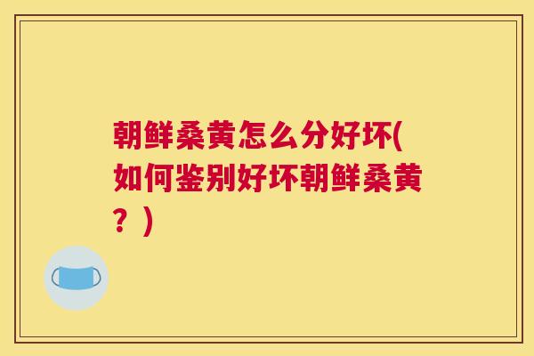 朝鲜桑黄怎么分好坏(如何鉴别好坏朝鲜桑黄?) 朝鲜桑黄怎么分好坏(如何鉴别好坏朝鲜桑黄?)